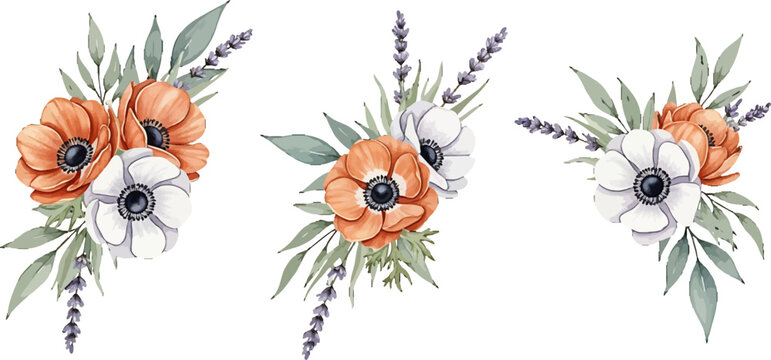 Watercolor floral arrangements with orange and white anemone flowers lavender sprigs and green foliage vector illustration set