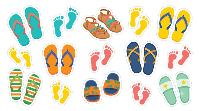 Colorful flip flops sandals collection.