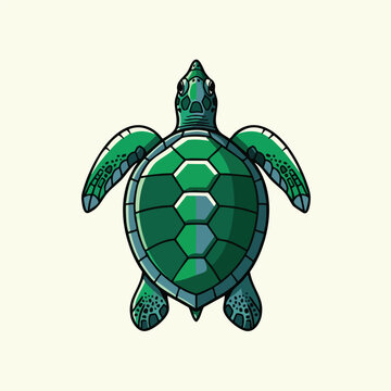 Green Turtle Shell Close Up.