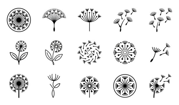 Modern dandelion botanical logo set with creative floral vector symbol templates isolated on white background