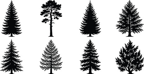 Fototapeta premium Coniferous pine and fir trees black silhouettes vector collection isolated on a white background