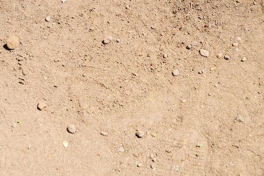 Soil texture background featuring loose soil and small stones. This texture is suitable for sandy loam or sandy soil types.
