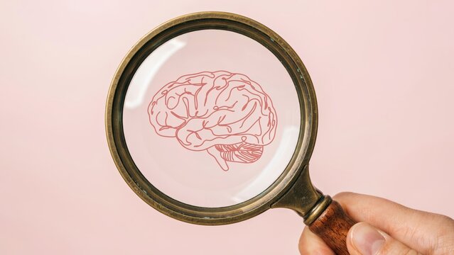 Human brain illustration viewed through a vintage brass magnifying glass