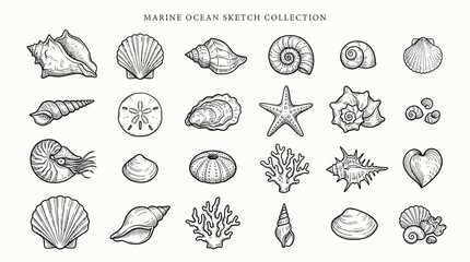 Vintage marine seashell and coral sketch collection © rehan