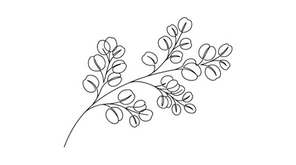 Minimalist eucalyptus branch line art, elegant botanical leaf vector illustration, black and white floral drawing for wedding stationery © Rafay