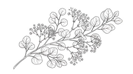 Minimalist eucalyptus branch line art, elegant botanical leaf vector illustration, black and white floral sketch for wedding invitations © Rafay