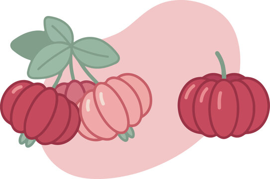 Cute hand drawn illustration of pitanga fruits with leaves on a soft pink background.