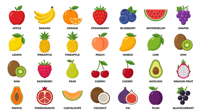 A colorful illustration of various fruits icons.