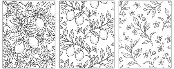 Seamless lemon branch patterns with citrus fruit flowers and foliage art. © MDTAZBIRHOSSAIN