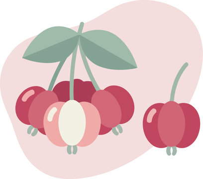 Flat vector illustration of a cluster of fresh pitanga berries with green leaves.