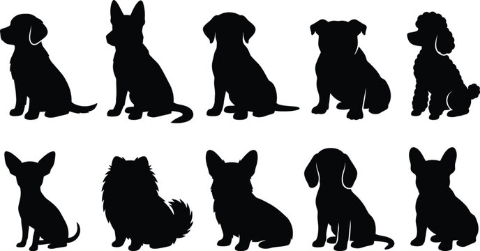 Sitting dog silhouettes set showing various pet breeds in different poses.