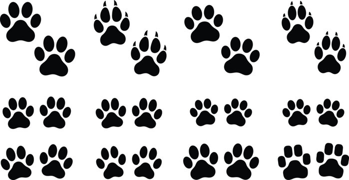 Animal paw prints collection featuring various shapes and claw marks for tracking.