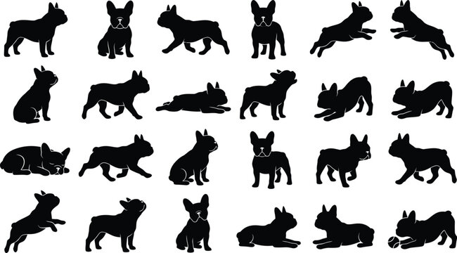 Extensive collection of french bulldog black silhouettes, showcasing diverse poses for pet and animal-themed designs.