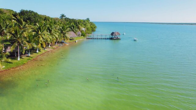 Palm trees and wooden docks along the tropical shore of Bacalar lake in Mexico