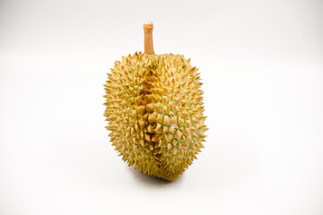 Durian fruit in south east asia, the king of fruits on white background  © Dub Dub Studio