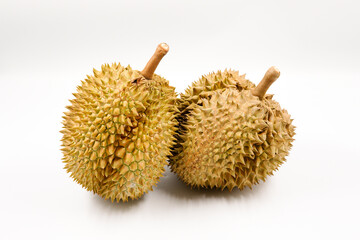 Durian fruit in south east asia, the king of fruits on white background  © Dub Dub Studio