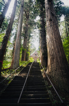戸隠神社