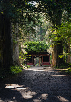 戸隠神社