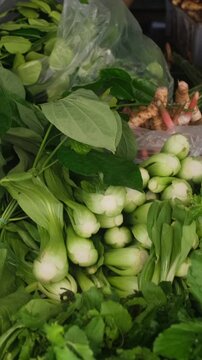 Vertical video. Lush display of fresh market greens and vegetables in Thailand featuring daikon radish, ginger, onion, choy sum, cabbage, green beans and other aromatic herbs. Fresh greens concept