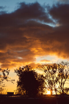 golden sunrise with sun flare over suburban rooftops and backyard trees