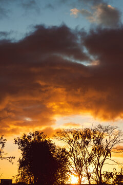 golden sunrise with sun flare over suburban rooftops and backyard trees