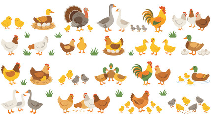Poultry farm animals set with chickens and ducks and geese families. © MDTAZBIRHOSSAIN
