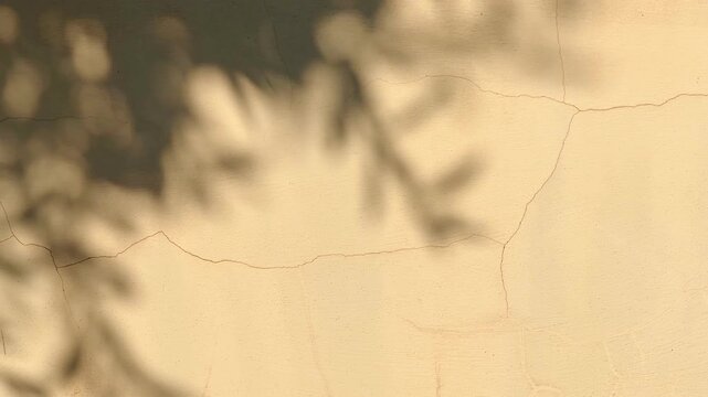 Blurred Plant Shadow Warm Beige Wall Horizontal Video Abstract Minimal Boho Copyspace
