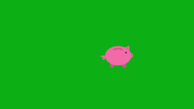 Pink piggy bank with coin icon on green screen chromakey background 2d animated cartoon animation perfect for professional video editing chroma key compositing and stock footage production globally