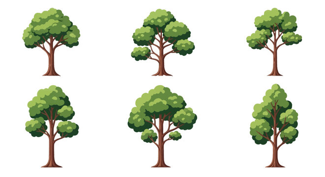 Vector illustration set of six green deciduous trees with brown trunks and branches isolated on a white background. Various canopy shapes including rounded, oval, and conical styles.
