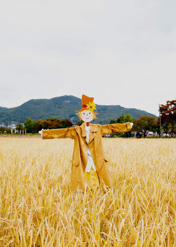 scarecrow