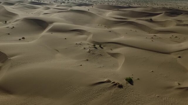 Sweeping aerial view of desert sand dunes with multiple activity points visible across the golden landscape.