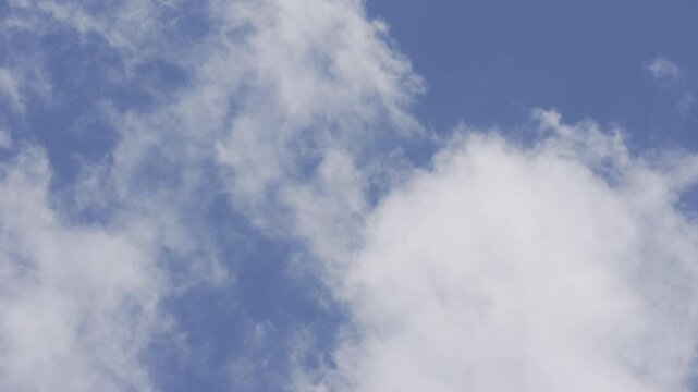 Dense white cumulus clouds floating gently in real time daytime atmosphere, zenith look up shot creating a peaceful calm mood, perfect for sky replacement vfx.