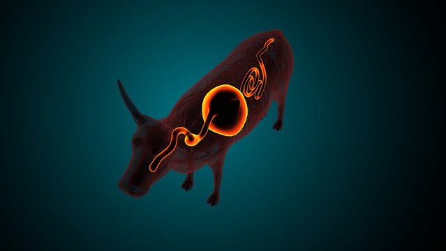 Lumber part of a cow. 3d illustrations