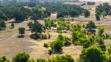 Aerial View of Rural Oak Woodland Savanna with Dry Golden Grass and Scattered Trees in California's Central Valley Foothills © Vit Onopriienko