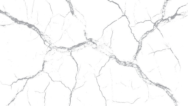 Distressed fracture pattern for grunge background design Broken concrete crack texture with realistic surface detail