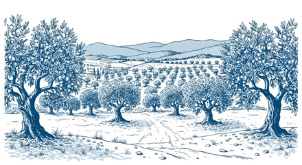 Vintage olive grove landscape vector, hand drawn mediterranean orchard with olive trees, rustic blue ink sketch of rural farmland and hills © Qarshi Stock