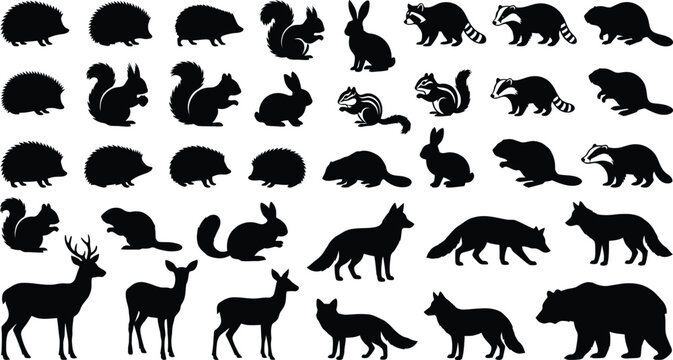 Collection of black silhouette of various wild animals on white background, hedgehog squirrel rabbit