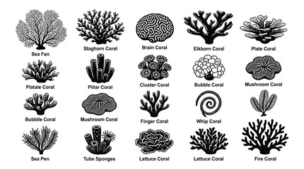Black and white coral reef 20 types of coral and sea sponges illustrated marine life ocean underwater © Graphic Shops