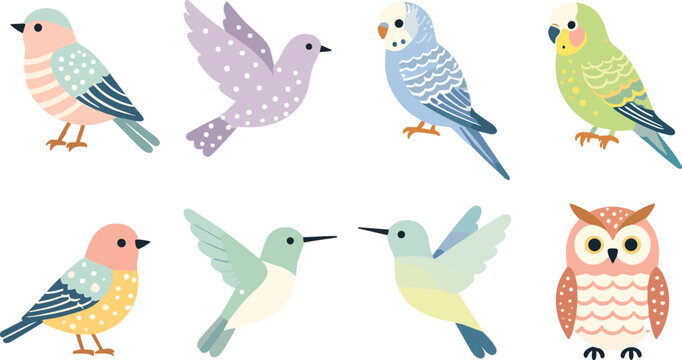 Cute colorful bird collection vector set featuring cartoon songbirds parrots hummingbirds owl and budgie illustrations isolated on white background