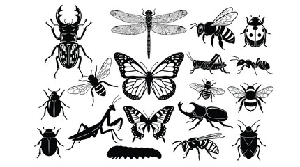 Black and white insect including beetles, butterflies, dragonflies, and more insects bugs © Graphic Shops