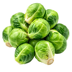 Fototapeta premium cabbage isolated on white