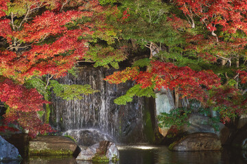 Autumn leaves and waterfall of Japanese garden at night, Kokoen garden (Koko-en), Kobe city, Hyogo, Japan. © YUSHENG HSU