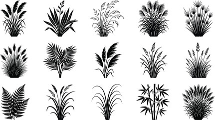 Black silhouettes of various tropical plants and grasses on white background © Graphic Shops