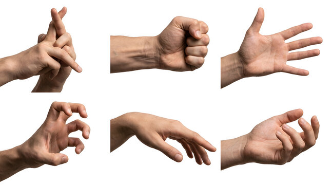 Collection of Hand Gestures: A compilation of six distinct human hands demonstrating a variety of gestures, from a clenched fist to an open palm and a reaching hand, against a plain backdrop.