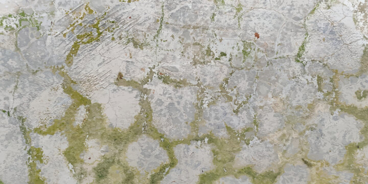 Cracked concrete surface with mossy lichen growth pattern concrete background weathered material structure exterior architecture foundation industrial abstract building lichenous