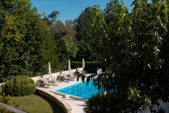 Tranquil swimming pool surrounded by lush green trees and comfortable lounge chairs