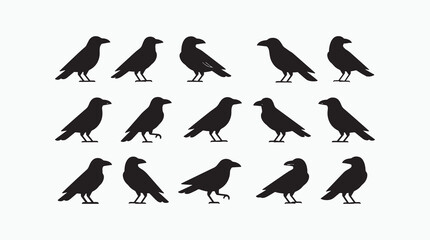 Flock of Black Birds Silhouettes Perched and Flying on White Background © AFSHANASUFIA
