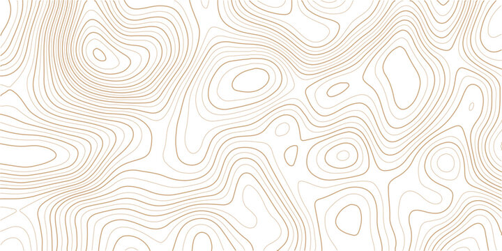 Topographic contour lines on white background for design and mapping purposes