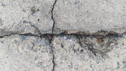 Fototapeta premium Network of Cracks on Textured Grey Concrete