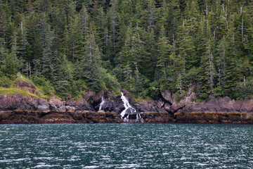 Small waterfall in Prince William Sound